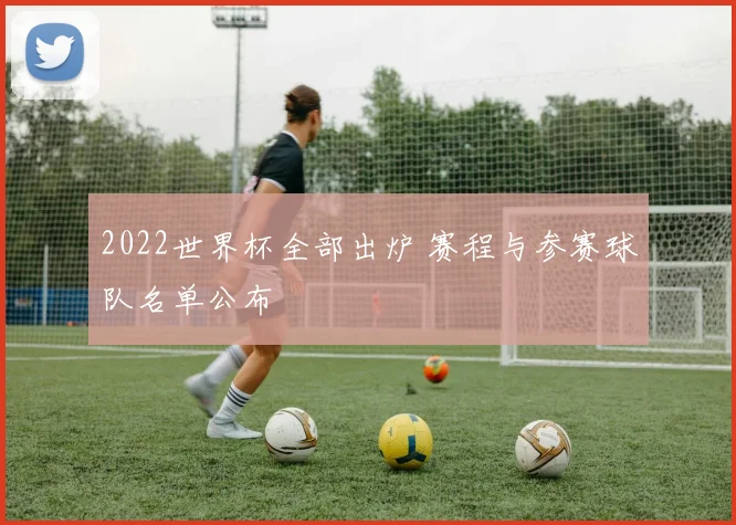 2022世界杯全部出炉 赛程与参赛球队名单公布