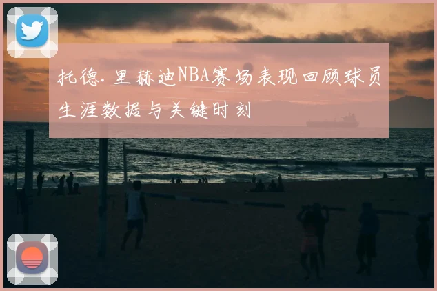 托德.里赫迪NBA赛场表现回顾球员生涯数据与关键时刻