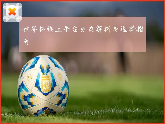世界杯线上平台分类解析与选择指南