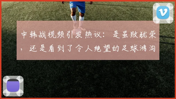 中韩战视频引发热议:是虽败犹荣,还是看到了令人绝望的足球鸿沟?