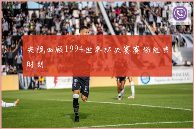 央视回顾1994世界杯决赛赛场经典时刻