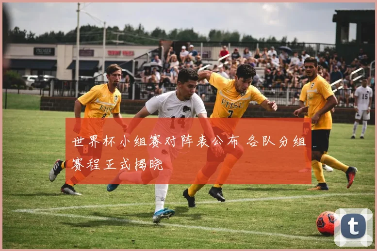 世界杯小组赛对阵表公布 各队分组赛程正式揭晓